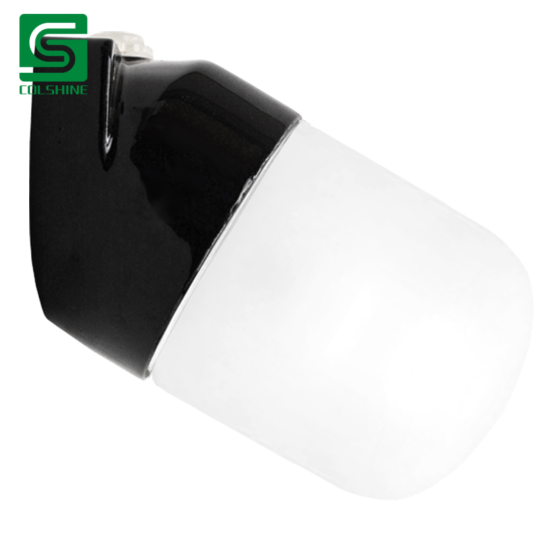 black porcelain wall light
